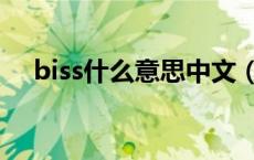 biss什么意思中文（biss的意思是什么）
