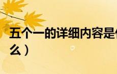 五个一的详细内容是什么（五个一的内容是什么）