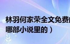 林羽何家荣全文免费阅读顶点（林羽何家荣是哪部小说里的）