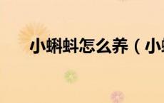 小蝌蚪怎么养（小蝌蚪怎么养不会死）