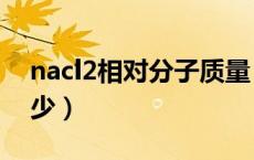 nacl2相对分子质量（2nacl相对分子质量多少）