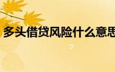 多头借贷风险什么意思（多头借贷什么意思）