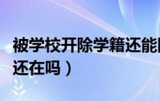 被学校开除学籍还能回去吗（被学校开除学籍还在吗）