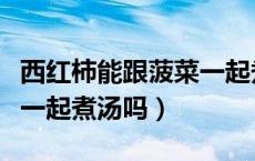 西红柿能跟菠菜一起煮汤吗（西红柿能和菠菜一起煮汤吗）