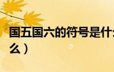 国五国六的符号是什么（国五和国六符号是什么）