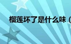 榴莲坏了是什么味（榴莲坏了是什么样）