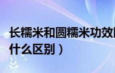 长糯米和圆糯米功效区别（长糯米和圆糯米有什么区别）