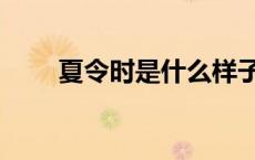 夏令时是什么样子（夏令时是什么）