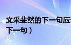 文采斐然的下一句应该是什么呀（文采斐然的下一句）