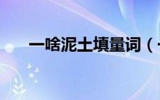一啥泥土填量词（一什么泥土填量词）