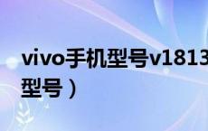 vivo手机型号v1813 bt价格（v1813bt什么型号）