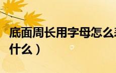 底面周长用字母怎么表达（底面周长的字母是什么）