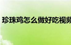 珍珠鸡怎么做好吃视频（珍珠鸡怎么做好吃）