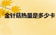 金针菇热量是多少卡（金针菇热量多少卡）