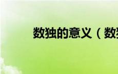 数独的意义（数独特点什么意思）