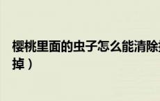 樱桃里面的虫子怎么能清除掉（樱桃里面的虫子怎么能清除掉）