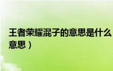 王者荣耀混子的意思是什么（王者荣耀里面说的混子是什么意思）