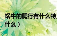 蜗牛的爬行有什么特点（蜗牛用来爬行的足叫什么）