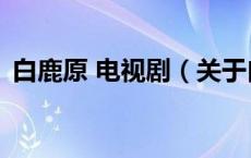 白鹿原 电视剧（关于白鹿原 电视剧的介绍）