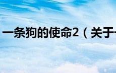 一条狗的使命2（关于一条狗的使命2的介绍）