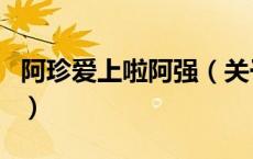 阿珍爱上啦阿强（关于阿珍爱上啦阿强的介绍）