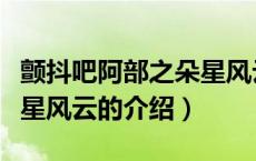 颤抖吧阿部之朵星风云（关于颤抖吧阿部之朵星风云的介绍）