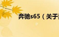 奔驰s65（关于奔驰s65的介绍）