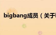 bigbang成员（关于bigbang成员的介绍）