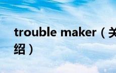 trouble maker（关于trouble maker的介绍）
