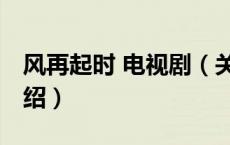风再起时 电视剧（关于风再起时 电视剧的介绍）