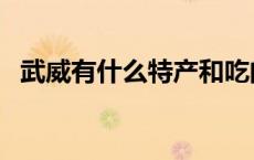 武威有什么特产和吃的（武威有什么特产）