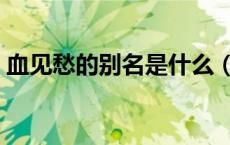 血见愁的别名是什么（鬼见愁的别名叫什么）