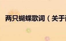 两只蝴蝶歌词（关于两只蝴蝶歌词的介绍）