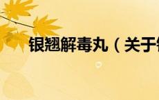 银翘解毒丸（关于银翘解毒丸的介绍）