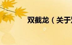 双截龙（关于双截龙的介绍）