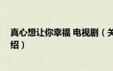 真心想让你幸福 电视剧（关于真心想让你幸福 电视剧的介绍）