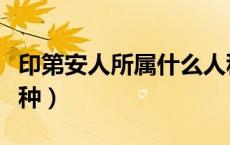 印第安人所属什么人种（印第安人属于哪个人种）