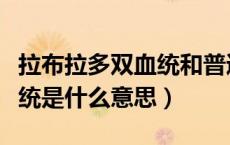 拉布拉多双血统和普通的区别（拉布拉多双血统是什么意思）
