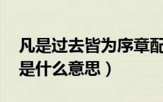凡是过去皆为序章配图（凡事过去皆为序章 是什么意思）