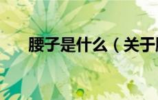 腰子是什么（关于腰子是什么的介绍）