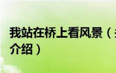 我站在桥上看风景（关于我站在桥上看风景的介绍）