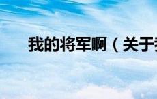 我的将军啊（关于我的将军啊的介绍）