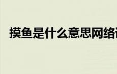 摸鱼是什么意思网络语（摸鱼是什么意思）