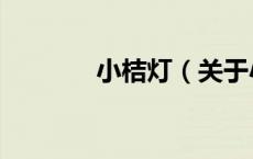 小桔灯（关于小桔灯的介绍）