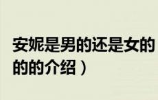 安妮是男的还是女的（关于安妮是男的还是女的的介绍）