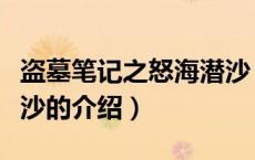 盗墓笔记之怒海潜沙（关于盗墓笔记之怒海潜沙的介绍）