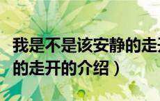 我是不是该安静的走开（关于我是不是该安静的走开的介绍）
