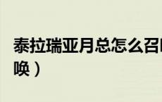 泰拉瑞亚月总怎么召唤（泰拉瑞亚月总怎么召唤）