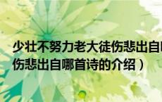 少壮不努力老大徒伤悲出自哪首诗（关于少壮不努力老大徒伤悲出自哪首诗的介绍）