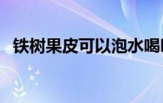 铁树果皮可以泡水喝吗（铁树果可以吃吗）